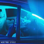 cover: Ace Tee - STEEZ