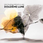 cover: Denis Frajerman - Douzieme Lune