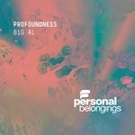 cover: Big Al - Profoundness (Remixes)