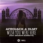 cover: Afrojack|Brandyn Burnette|Dlmt - Wish You Were Here