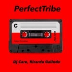 cover: Dj Care|Ricardo Galindo - PerfectTribe