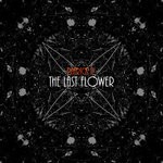 cover: Patrick P. - The Last Flower