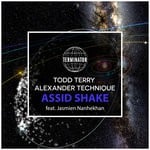 cover: Alexander Technique|Jasmien Nanhekhan|Todd Terry - Assid Shake