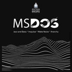 cover: Msdos - Rough Drops 3