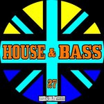 cover: Immoral Music - House & Bass Vol 27