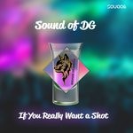 cover: Sound Of Dg - If You Really Want A Shot