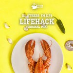 cover: Dj Stress (m.c.p) - Lifehack