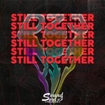 cover: Dzj - Still Together