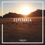 cover: Christian Bootleg - Esperanza (Synthapella)