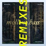 cover: Einmusik|I Am Halo|Matan Caspi|Mollono.bass|Paul Ursin - Woods, Tales & Friends Remixes - Part 1