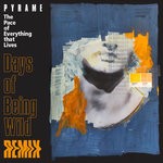 cover: Pyrame - The Pace Of Everything That Lives (Days Of Being Wild Remix)