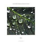 cover: Alessandro Zingrillo|Emiliano Cassano - Brina