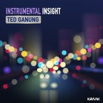 cover: Ted Ganung - Instrumental Insight