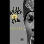 cover: Levels - Wake Him (Explicit)