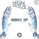 cover: Natural Error - Handz Up