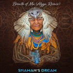 cover: Bluetech|Shaman's Dream - Breath Of Ma (ATYYA Remix)