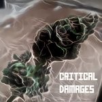 cover: Kush E - Critical Damages