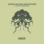 cover: Anthony Spallino & Aurelien Stireg - Positive Vibrations