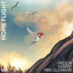 cover: Medon|Mike Gudmann|Shiverz - Home Flight