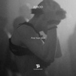 cover: Airod - Find Your Soul