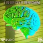 cover: The Mario - Trip My Brain