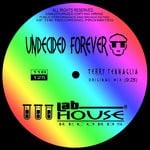 cover: Terry Tennaglia - Undecided Forever