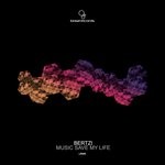 cover: Bertzi - Music Save My Life