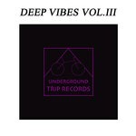 cover: Flavio Mp|Mepo|Dimitri Skouras|Dav'bond - Deep Vibes Vol 3