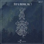 cover: Various - Deep & Natural Vol 3