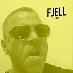 cover: Fjell - Flip