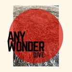 cover: Any Wonder - Dive