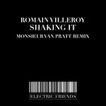 cover: Romain Villeroy - Shaking It