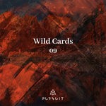 cover: NAJI ARUN|RAPHAEL MADER|Soul Brucke|TULUM - Wild Cards 09