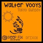 cover: Walter Vooys - Tokyo Sunset