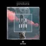 cover: Pindura - Ever Know