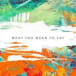 cover: Richard Earnshaw|Ridney|Sander Nijbroek - What You Mean To Say (Mark Hill Remix)