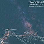 cover: Woodhead - What You Got Remix