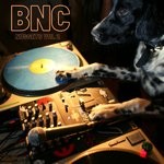 cover: Bnc - Nuggets Vol 2