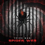 cover: Fried Man - Spider Web