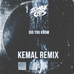 cover: Zombie Cats - Did You Know (Kemal Remix)