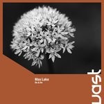 cover: Max Lake - On & On