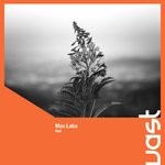 cover: Max Lake - Hall