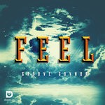 cover: Groove Govnor - Feel