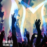 cover: Various - EDM Hits Vol 5