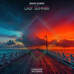 cover: David Surok - Last Summer