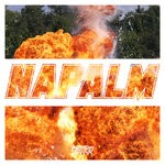 cover: Getter - NAPALM