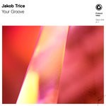 cover: Jakob Trice - Your Groove