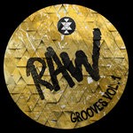 cover: Various - RAW GROOVES VOL 1