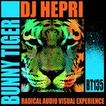 cover: Dj Hepri - Radical Audio Visual Experience