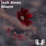 cover: Josh Ames - Bloom